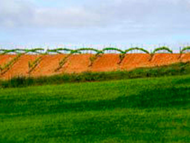 Tratamientos fitosanitarios en Salamanca