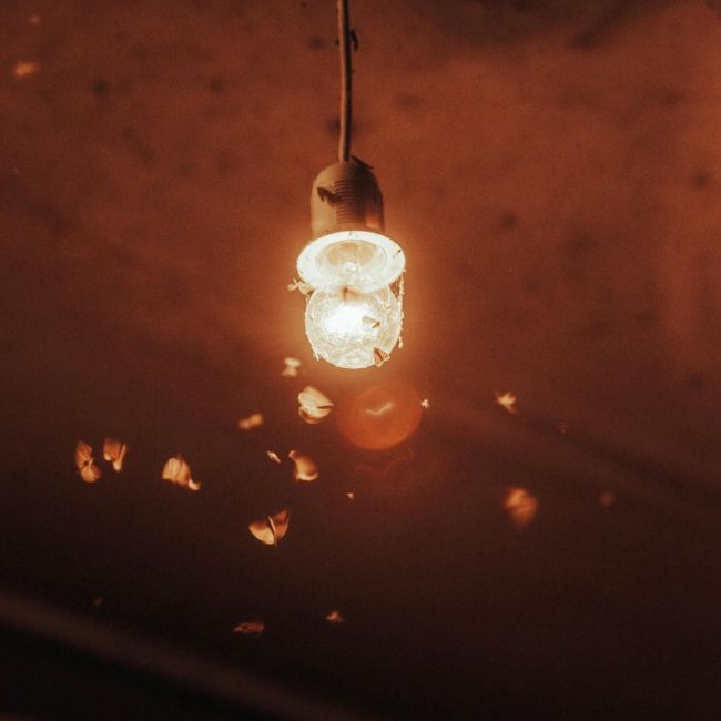 Control de plaga de polillas en Salamanca